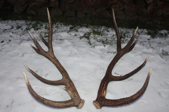 Decembrové trojkiláče ešteraz