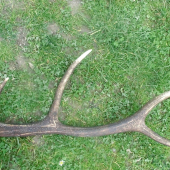 desatorák