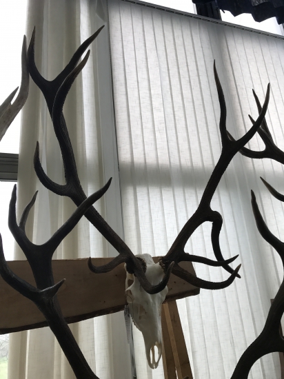 Strieborná rarita z Pčolinného - 204, 31