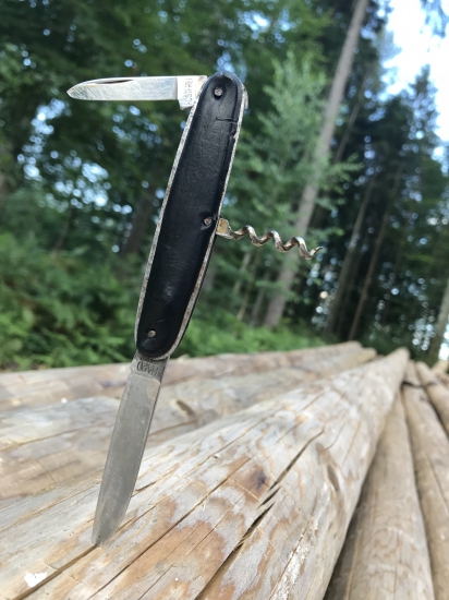 Môj hubarský pomocník