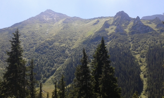 Hawrań