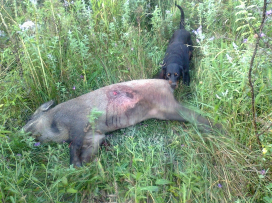 Argo z Brezovskeho Hamra po uspesnej dohladavke