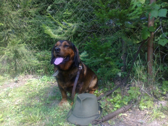 vycvikovy den v PZ DUBINA Poprad