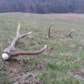 nedelny večer