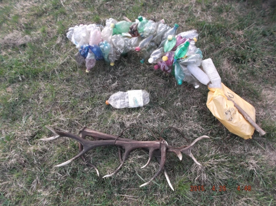 jelene zhadzuju parožie ,homo sapiens-debilis-flase