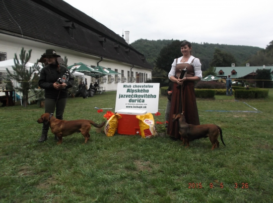 Špeciálna klubová výstava AJD Sv. Anton 2015