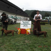 Špeciálna klubová výstava AJD Sv. Anton 2015