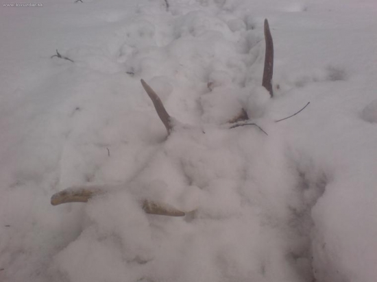 odmena2 opar metrov dalej