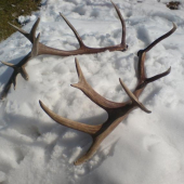 dlzka 136cm