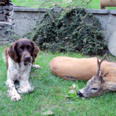 Vzpomínka na poslední lov ze starým pánem