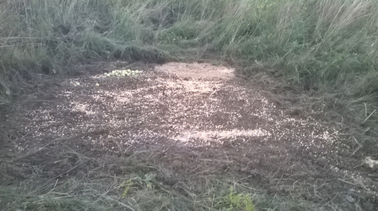 Po týždni tvrdej prace hotovo...