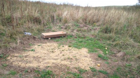 Dalšie krmitko......