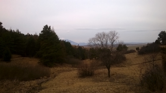 Krásy lesa s pohľadom na Tatry.