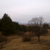 Krásy lesa s pohľadom na Tatry.