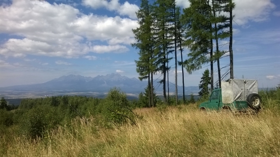 Už aby bolo ľeto....