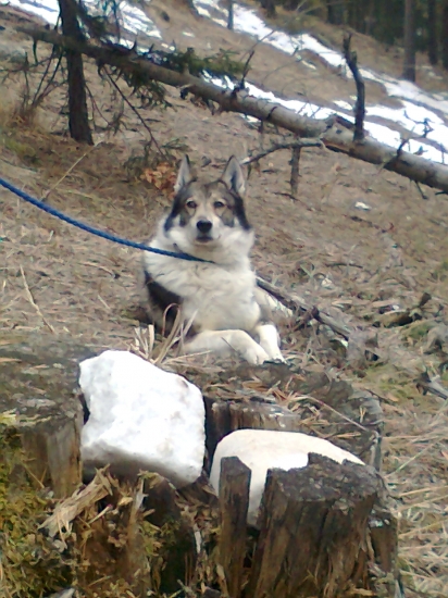 Po náročnom výstupe