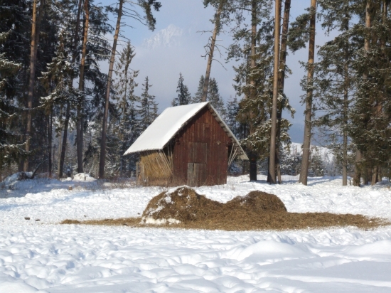 Keď trebalo pomôcť