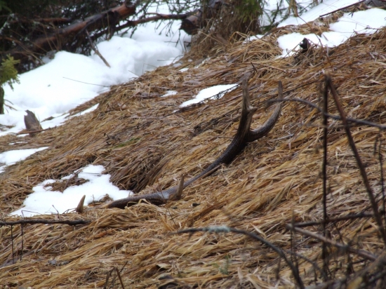 Kéď pršalo mrholilo