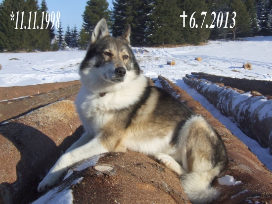 Prišiel som o druhé ja