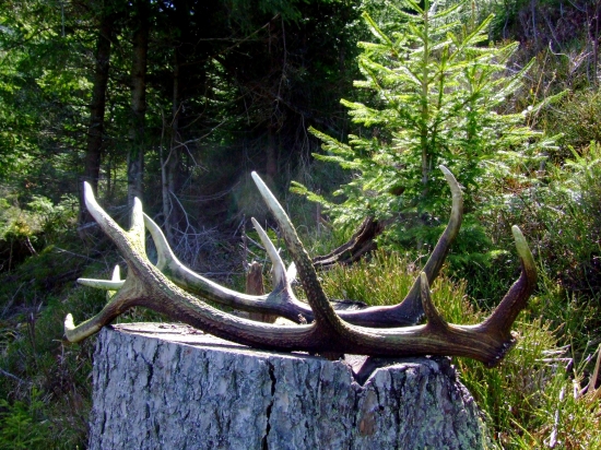 Veľkonočný pondelok