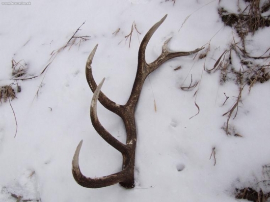 konečne po 2 rokoch