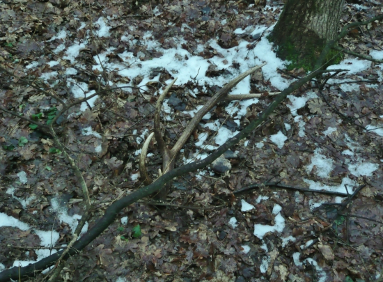 desatorak....2 roky dozadu