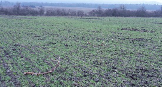 slusny zaciatok sezony