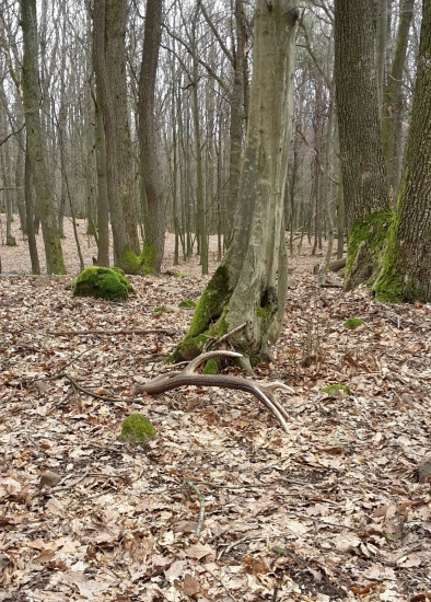 konečne poriadny...12torak 3 kg