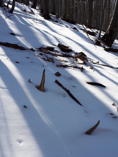 1/2018....stary 10toračik