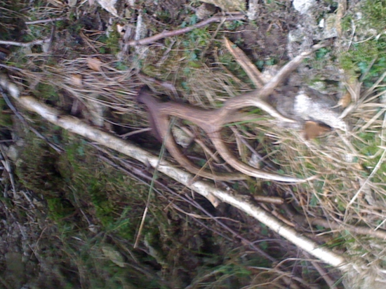 minuloročný 14 torák