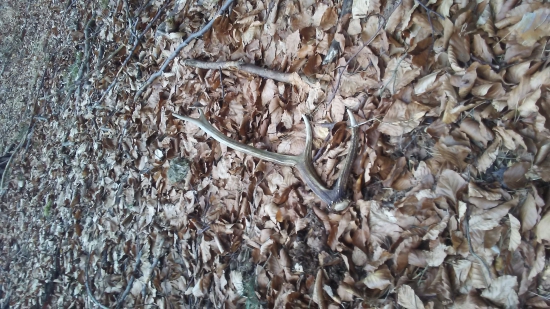 Konečne sa aj mne zadarilo