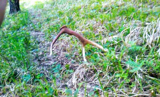 Dnes spokojnosť na 100%