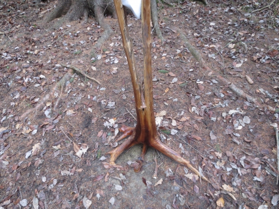 Krásne prekvapenie.