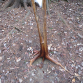 Krásne prekvapenie.