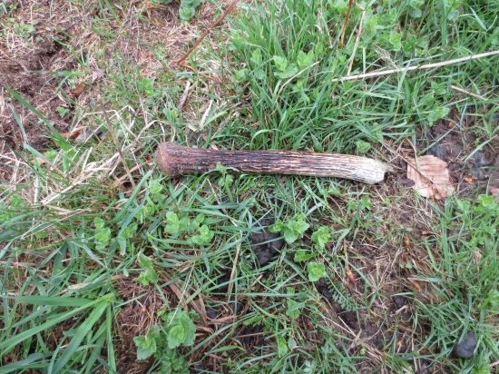 Vlaňajší špicér tiež poteší.