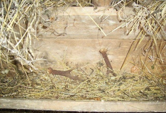 Prekvapenie v decembri