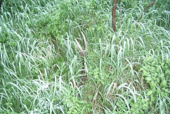 August 2009