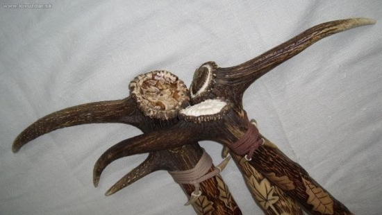 Palice do lesa - detail (rozne prevedenie)