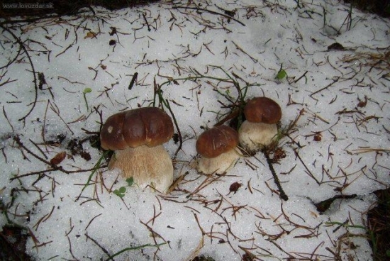 Oktobrove prekvapenie