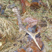 Jeden z najkrajších