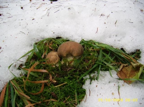 Po oktobrovom snehovom zartiku.