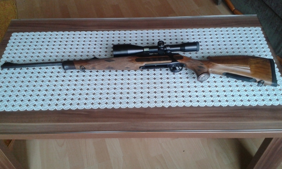 Sauer