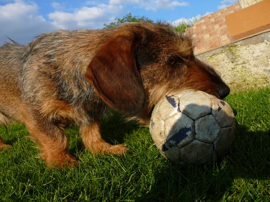 Asi sa dam radsej na futbal ...