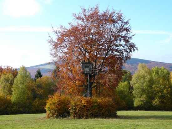 posed na krasnom mieste