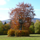 posed na krasnom mieste