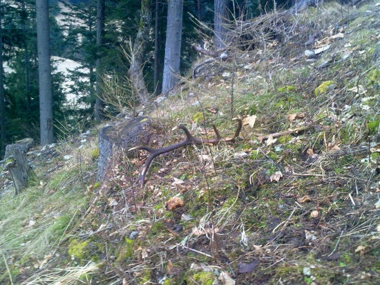 Konečne prvý tohto roku na piatu vychadzku, 14-torák