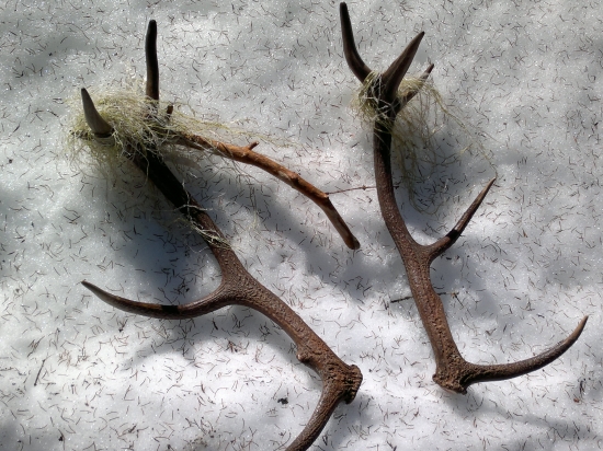 Ale som sa zamotal..