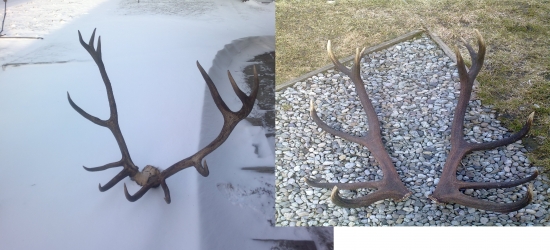 marec2013-marec-2012