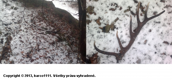 prvý pohlad a...