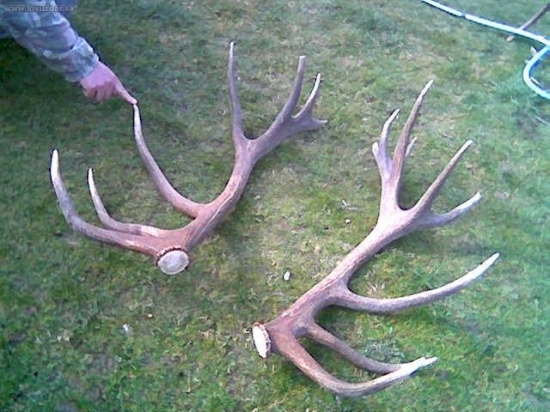 Kral sucheho potoka2008